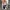 VANS Skater Casual Sneakers Pria white black photo 5