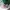 Umbro Vintage Y2K T-shirt Pria white green photo 6