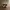 Compass Streetwear Minimalist Sneakers Pria white gray photo 4
