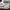 Nike Streetwear Casual Sneakers Pria multicolor white photo 3