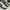 Onitsuka Tiger Casual Sneakers Pria white black photo 2