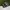 Adidas Casual Sneakers Pria white black photo 3