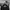 Adidas Sportswear Track Jacket Pria Black Gray