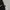 Adidas Sportswear Track jacket Pria black gray photo 3