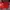 Sportswear Jersey Pria red photo 1