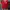 Sportswear Jersey Pria red photo 6