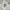 Avant Garde Windbreaker Pria white photo 1