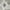 Avant Garde Windbreaker Pria White
