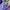 Champion Vintage Casual Jersey Pria blue yellow photo 5