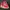 Nike Casual Casual shoe Pria red photo 2