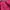 Uniqlo Casual Bralette Wanita pink photo 6