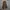 Vintage Culotte Wanita brown photo 2