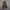 Vintage Culotte Wanita brown photo 1