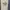 Adidas Sportswear Casual Jersey Pria white blue photo 3