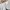 Casual Sweatshirt Wanita white photo 3