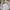 Casual Sweatshirt Wanita white photo 4