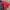 Sportswear Puffer jacket Pria red photo 6