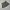 Another Shop Y2K Coquette Skirt Wanita black gray photo 1