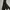 Gorpcore Trench coat Pria black photo 2