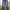 Akademiks Vintage Y2K Jeans Pria blue photo 3
