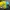 Streetwear Hat Pria blue yellow photo 4