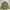 Vintage Casual Casual shirt Pria green photo 4