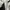 Y2K Biker Windbreaker Pria white black photo 3