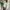 Fred Perry Y2K Casual Polo shirt Pria green photo 6
