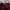 Another Shop Vintage Y2K Cami top Wanita purple burgundy photo 2