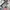 VANS Streetwear Casual Bag Pria multicolor photo 3