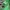 Streetwear Hat Pria green photo 6