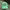 Streetwear Hat Pria green photo 1