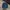 Columbia Sportswear Hat Pria navy photo 1