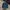 Columbia Sportswear Hat Pria Navy
