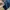 Columbia Sportswear Hat Pria navy photo 5