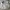 Lululemon Sportswear Minimalist Tote Bag Wanita Silver