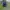 The North Face Casual Bag Pria navy photo 2