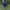 The North Face Casual Bag Pria navy photo 1
