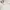 Crocodile Vintage Casual Polo shirt Pria white photo 6