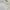 Sportswear Casual Polo shirt Pria white photo 5