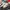 Nike Streetwear Sportswear Sneakers Pria white red photo 1