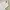 Asics Sportswear Casual Polo shirt Pria white photo 6