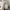 Bershka Streetwear Casual Windbreaker Wanita white photo 4