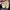 Puma Streetwear Sneakers Pria cream photo 4