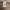 Carhartt Streetwear T-shirt Pria tan photo 4