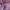 Polo Ralph Lauren Casual Formal Shirt Pria Purple
