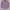 Polo Ralph Lauren Casual Formal shirt Pria purple photo 2