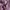 Polo Ralph Lauren Casual Formal shirt Pria purple photo 3