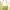Charles and Keith Luxury Wallet Wanita green photo 7