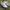 Fred Perry Sportswear Casual Sneakers Pria white photo 1